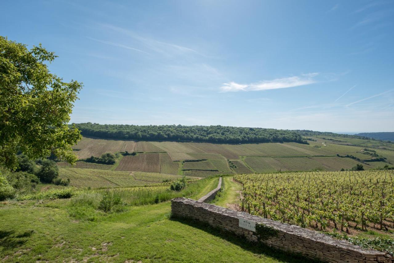 Chez Joseph - Au Coeur Des Vignes De Saint-Romain Zewnętrze zdjęcie